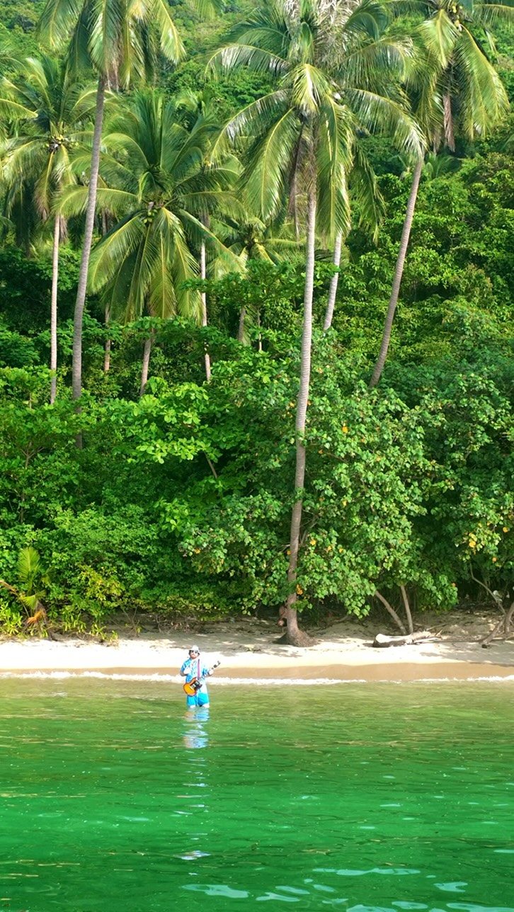A tropical shoreline, from the Meet Me in the Water shoot